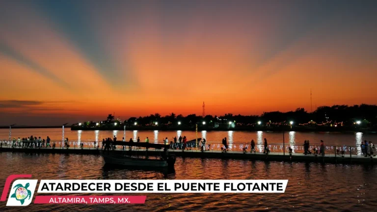 atardecer-desde-el-puente-flotante