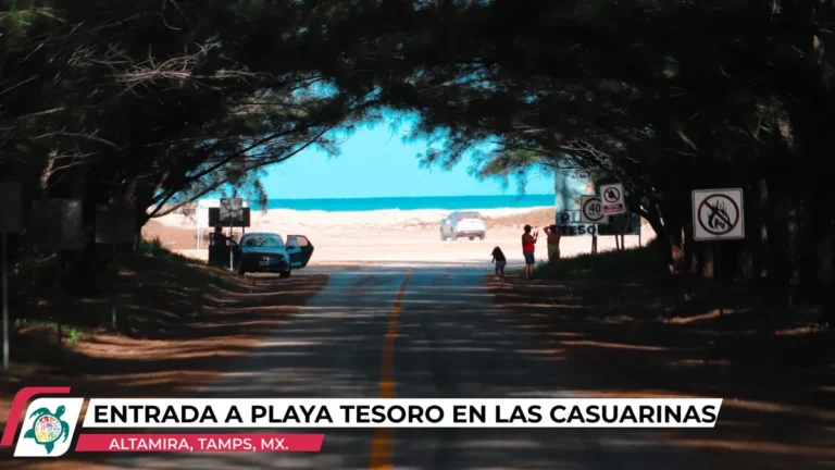 entrada-playa-tesoro