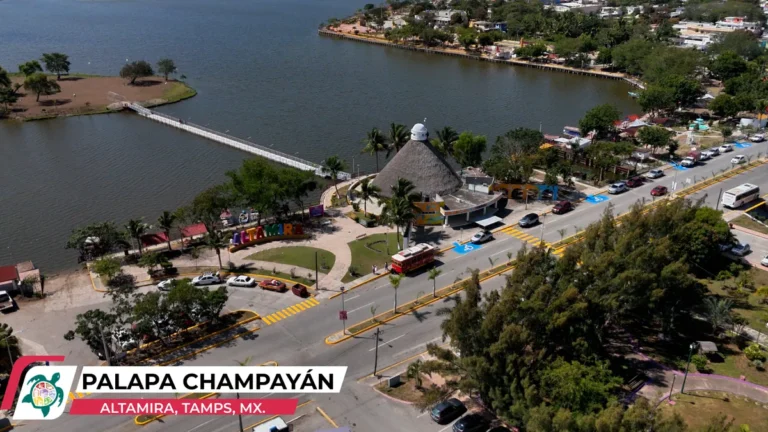 palapa_champayan