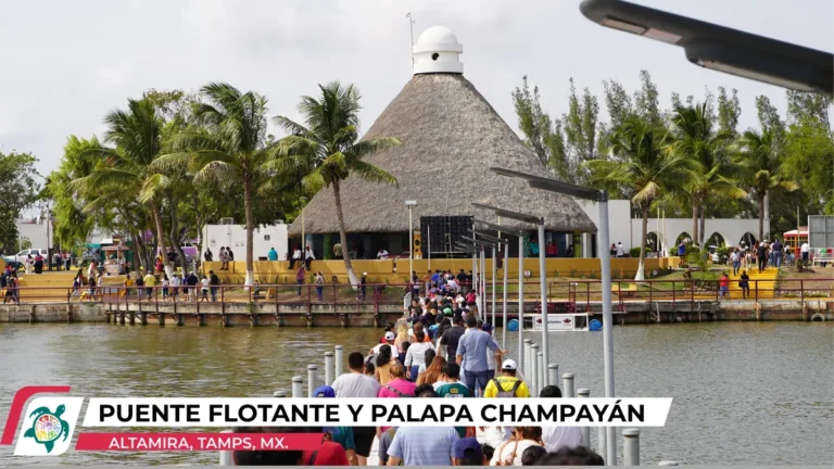 puente-flotante-y-palaa-champayan