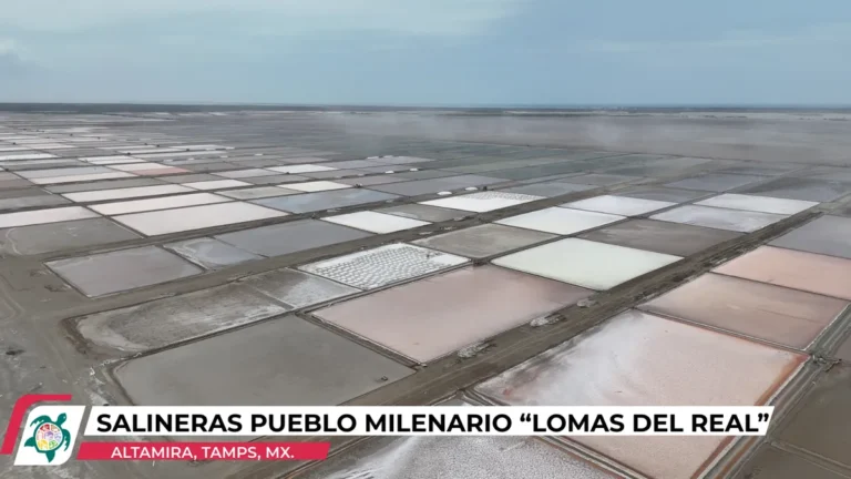 salineras-pueblo-milenario-_lomas-del-real_